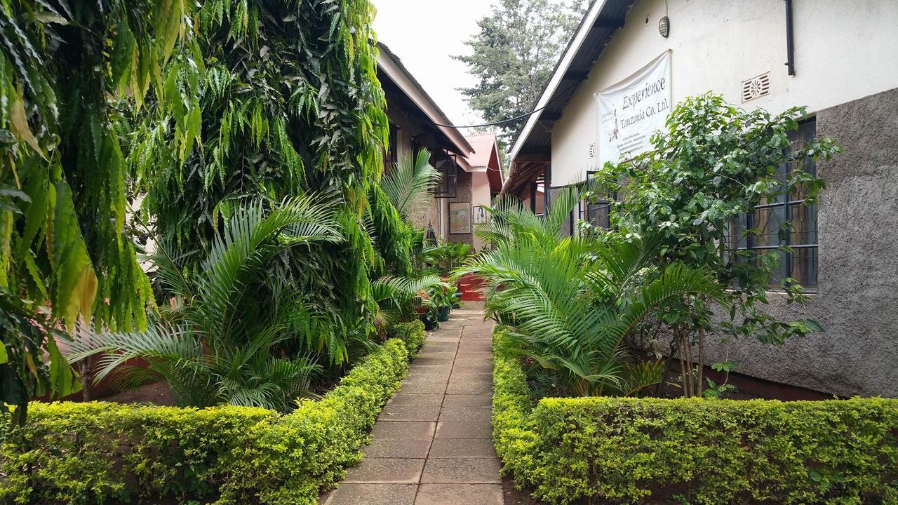 Mama Simba Bed And Breakfast Moshi Моши Экстерьер фото
